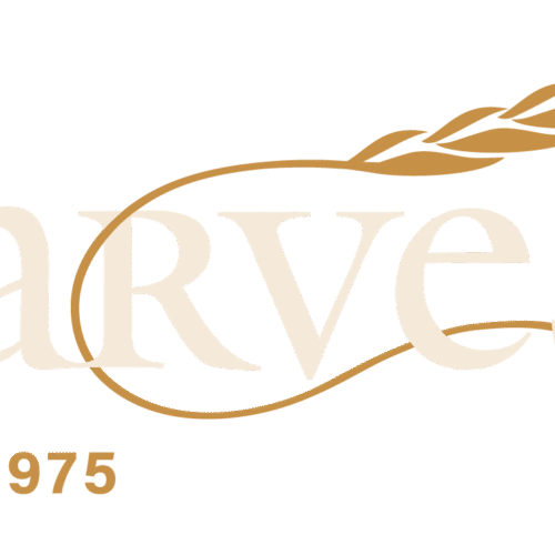 Harvest great food and fun in Harvard Square