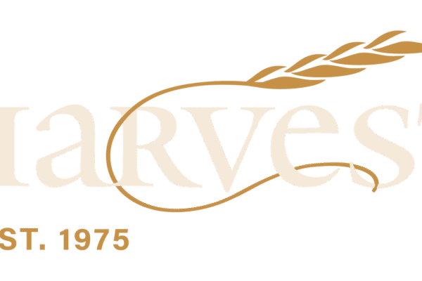 Harvest great food and fun in Harvard Square