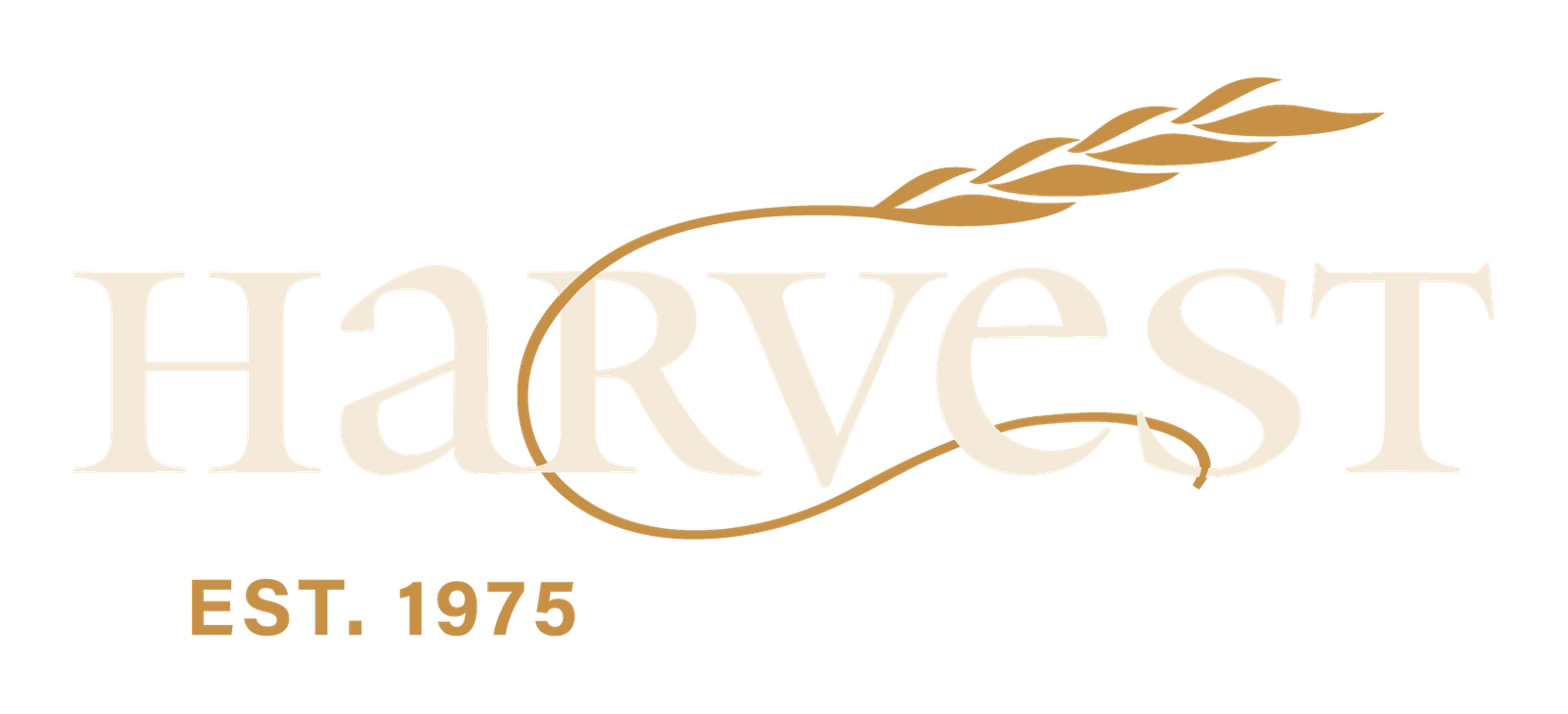 Harvest great food and fun in Harvard Square