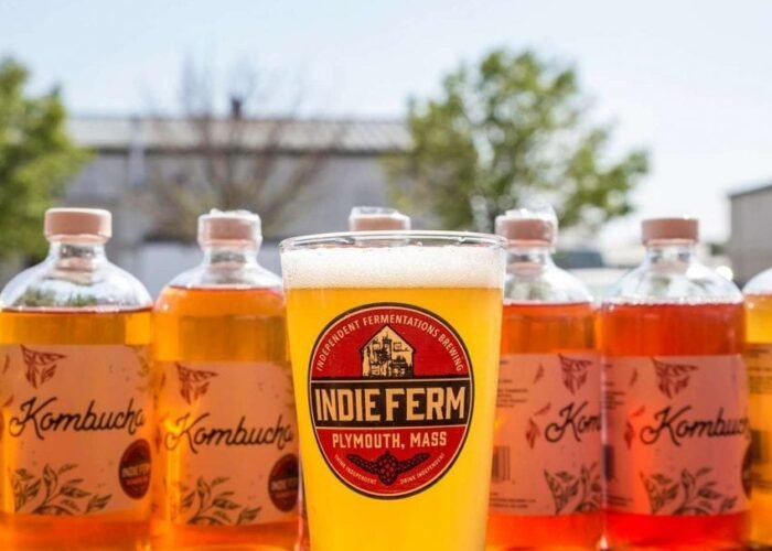 FERMENTING FUN