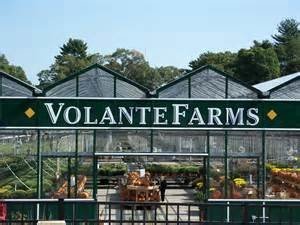 A Century of Plenty: Volante Farms makes locavor-ism easy and DELICIOUS (Originally posted 12/15)